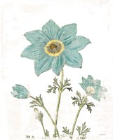 Bloemen Boek III on White Fine Art Print