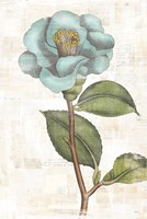 Bloemen Boek IX Fine Art Print