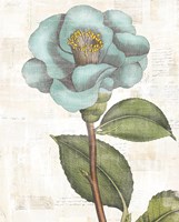 Bloemen Boek V Fine Art Print