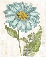 Bloemen Boek II Fine Art Print