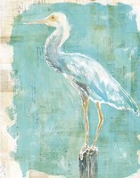 Coastal Egret II Fine Art Print