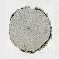 Woodland Years II with Silver v2 Fine Art Print