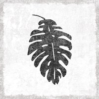 Flamingo Tropicale VII BW Fine Art Print