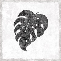 Flamingo Tropicale VIII BW Fine Art Print