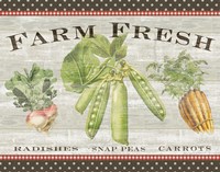 Farm Fresh Fine Art Print