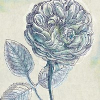 Belle Fleur III Fine Art Print