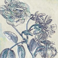 Belle Fleur I Fine Art Print