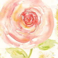 Breeze Bloom IV Fine Art Print