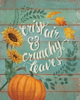 Harvest Delight III Framed Print