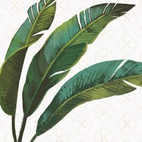 Welcome to Paradise XI Fine Art Print