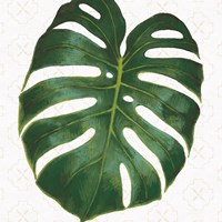 Welcome to Paradise XIII Fine Art Print