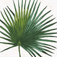 Welcome to Paradise XVI Fine Art Print