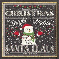 Winter Wonderland III Framed Print