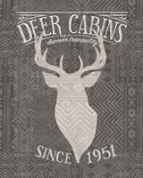 Soft Lodge VI Dark Fine Art Print