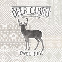 Soft Lodge III Framed Print