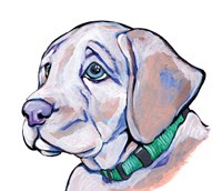 Puppy Fine Art Print