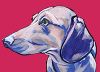 Dachshund II Fine Art Print