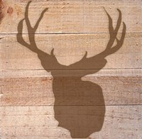 Deer I Fine Art Print