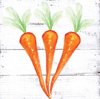 Farm Fresh Carrots Fine Art Print