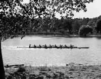 1930s Silhouette Sculling Boat Race Fine Art Print