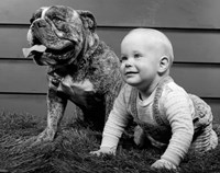 1950s 1960s Baby Seated Next To Bulldog In Grass Fine Art Print