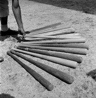 1950s Baseball Player Selecting A Variety Of Bats Fine Art Print