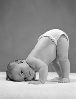 1950s Baby In Diaper With Cheek To Floor And Bottom In Air? Fine Art Print