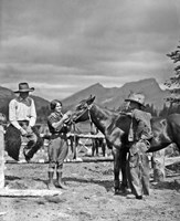 1930s Cowboys & A Woman Grooming A Horse Fine Art Print