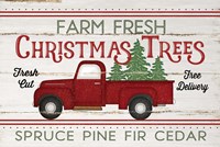 Vintage Truck Farm Christmas Trees Fine Art Print