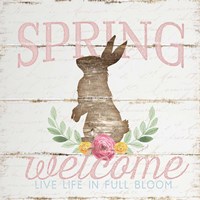 Spring Welcome Framed Print