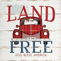 Land of the Free Fine Art Print