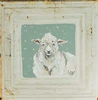White Sheep Fine Art Print