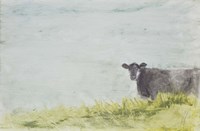 Cow Fine Art Print