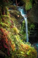 Black Forest Lower Falls Fine Art Print