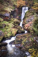 Black Forest Upper Falls Fine Art Print