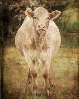 Belle Fine Art Print