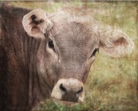 Bossie Fine Art Print