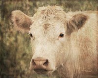 Flossie Mae Fine Art Print