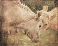 My First Love Fine Art Print