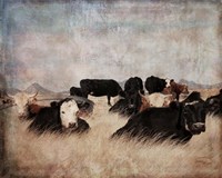 Takin It Easy Fine Art Print