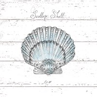 Aqua Underwater Life VIII Shiplap Fine Art Print