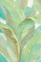 Under the Palms I Framed Print