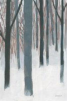 Winter Woods Fine Art Print