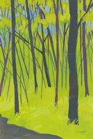 Spring Woods Fine Art Print