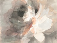 Abstract Peony Fine Art Print