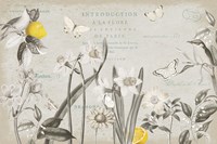 Citron Curiosities I Gray Fine Art Print