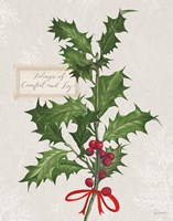 Joyful Tidings VI Framed Print