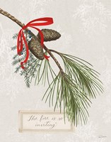 Joyful Tidings III Framed Print