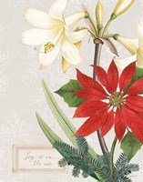 Joyful Tidings II Framed Print