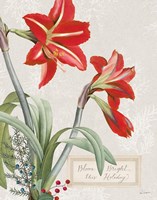 Joyful Tidings I Framed Print